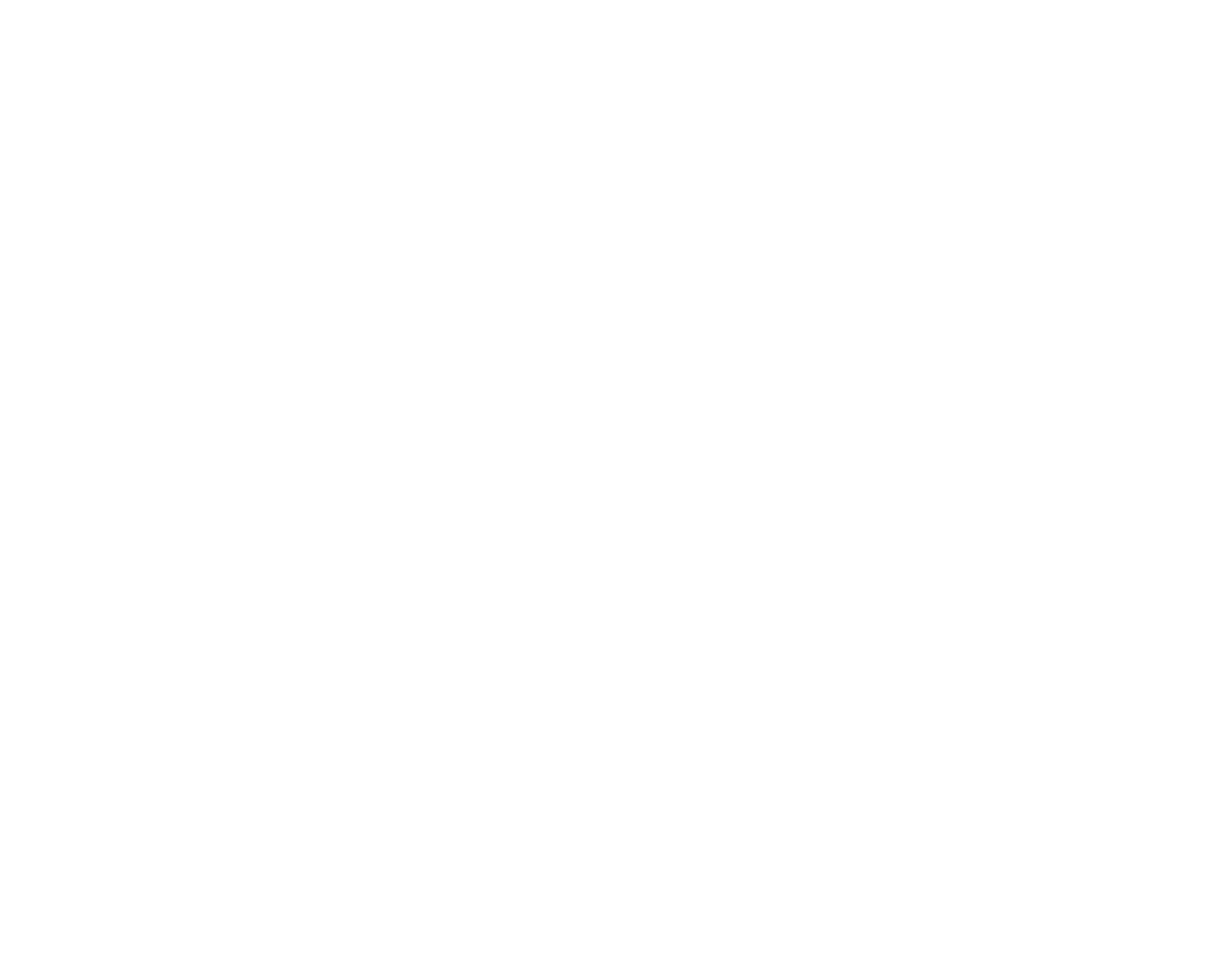 LB ENTREPRISE_BLANCO